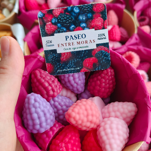 Waxmelts - Paseo entre moras (100g)