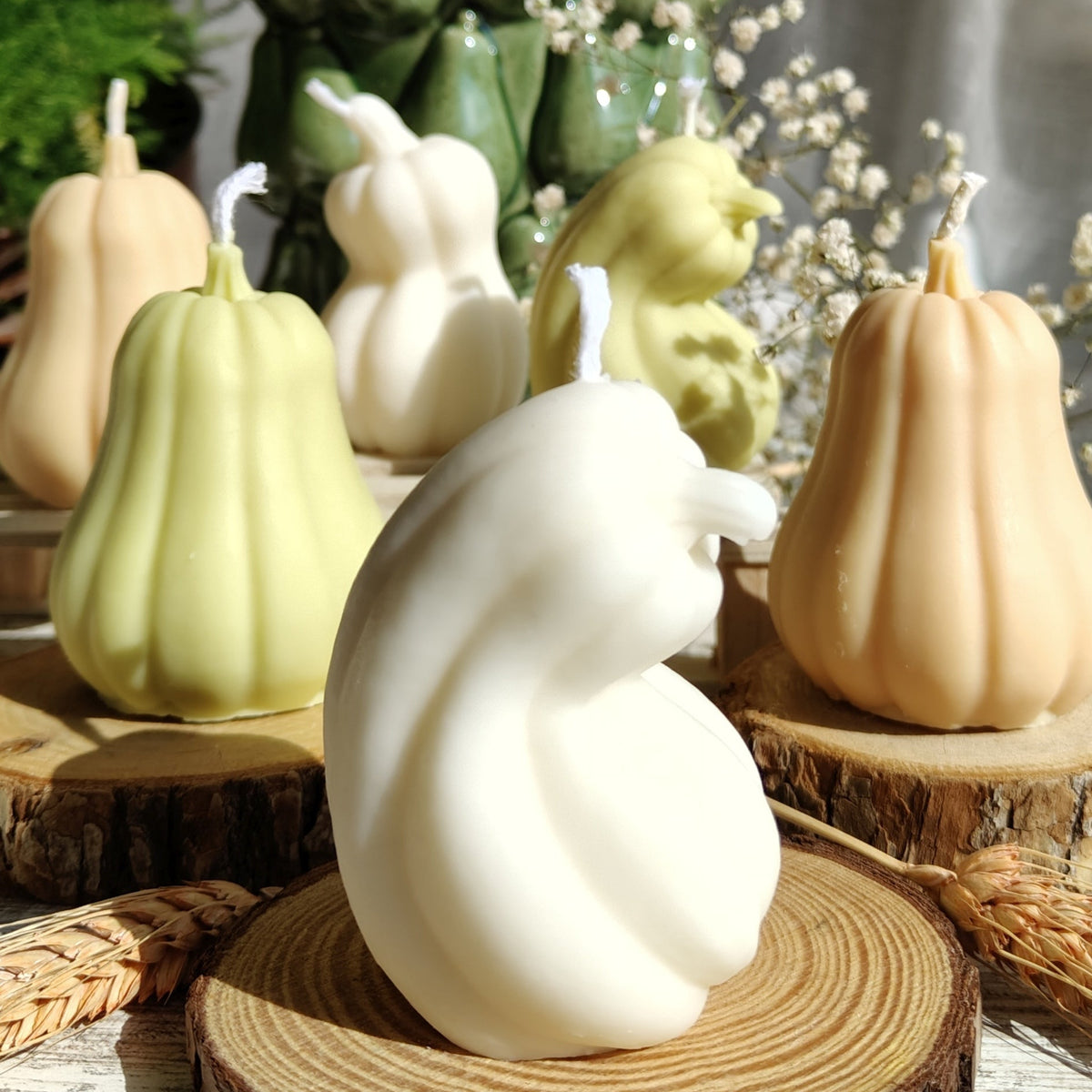 Pack cosecha (decorativas)