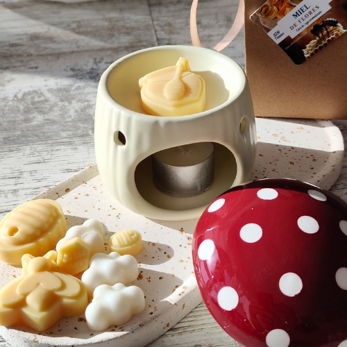 Cajita waxmelts -Dulces antojos