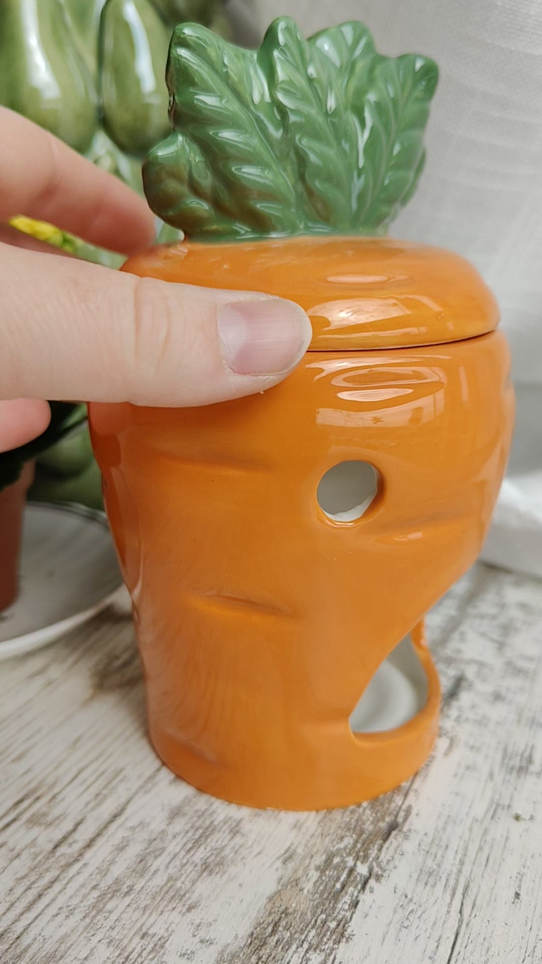 Quemador zanahoria 🥕