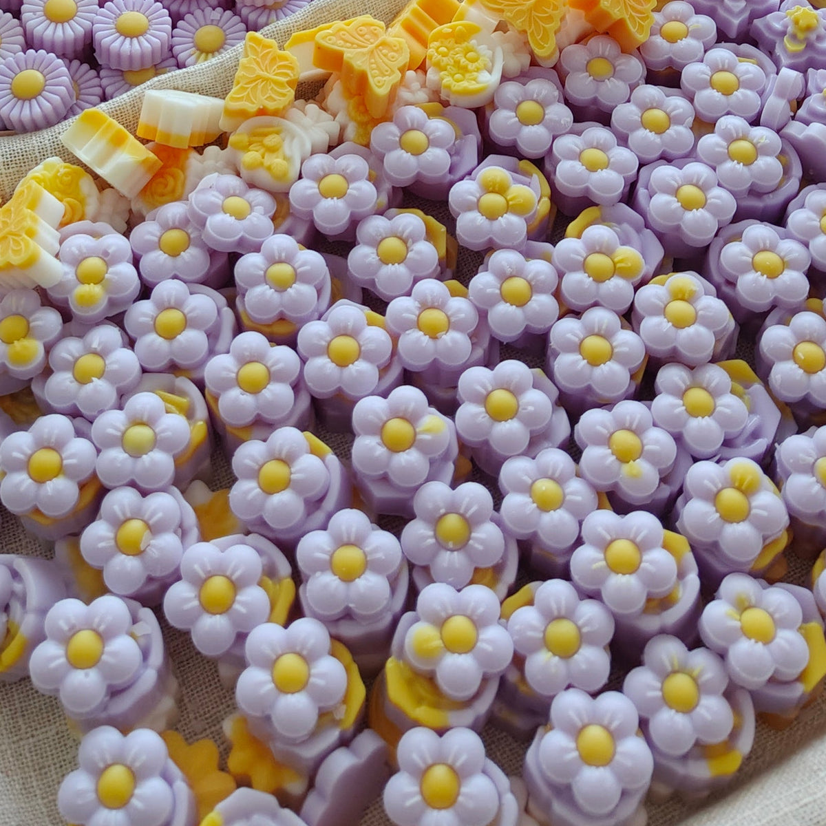 Lavanda