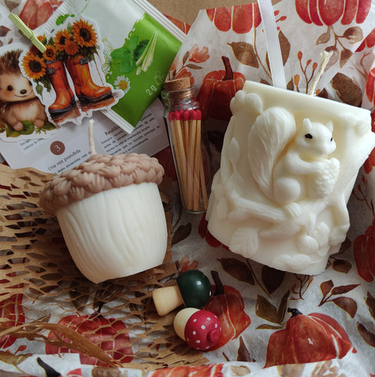 Pack picnic de otoño (decorativas)