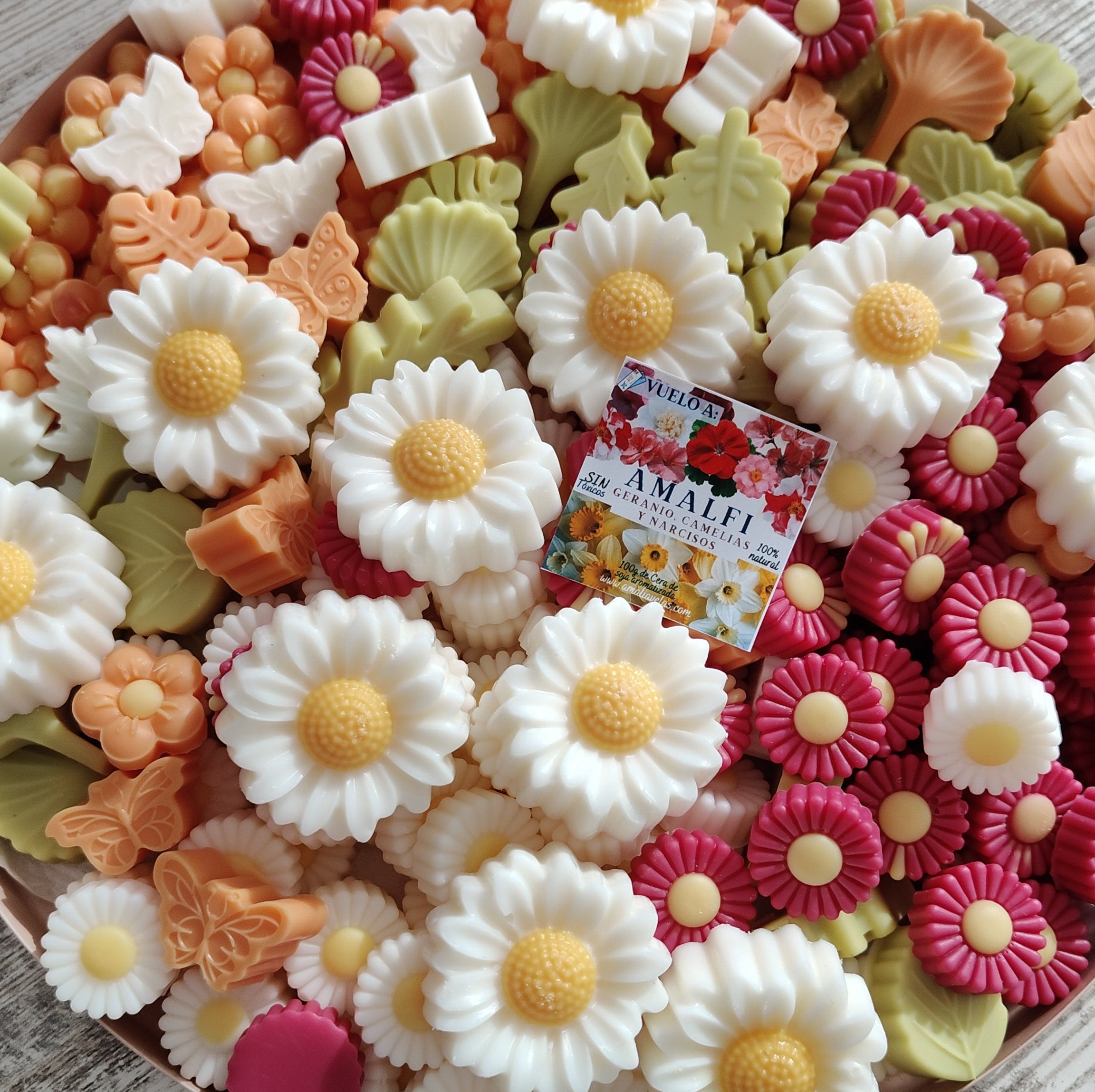 Wax melts - Amalfi Coast