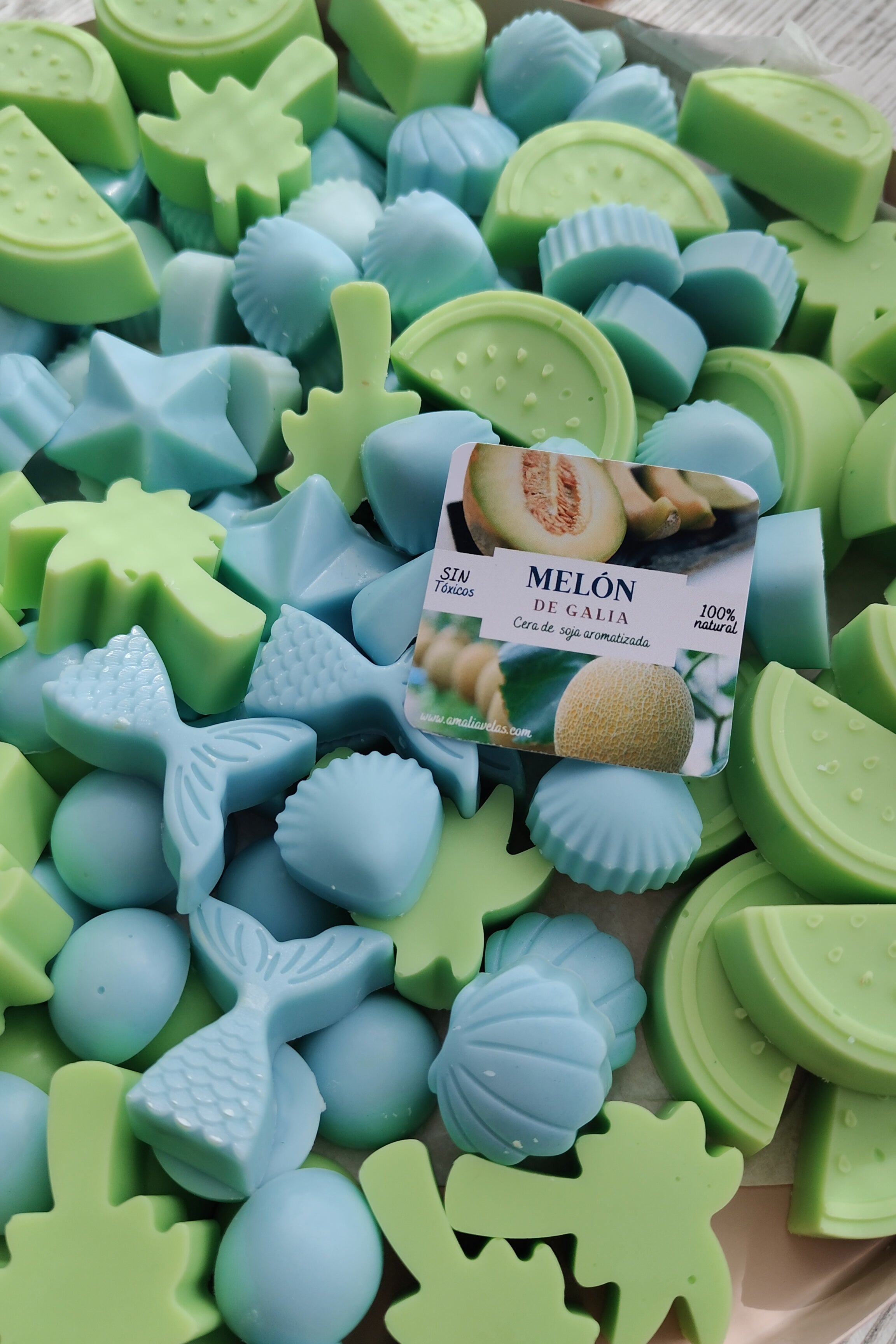 Melón de Galia (limitado)