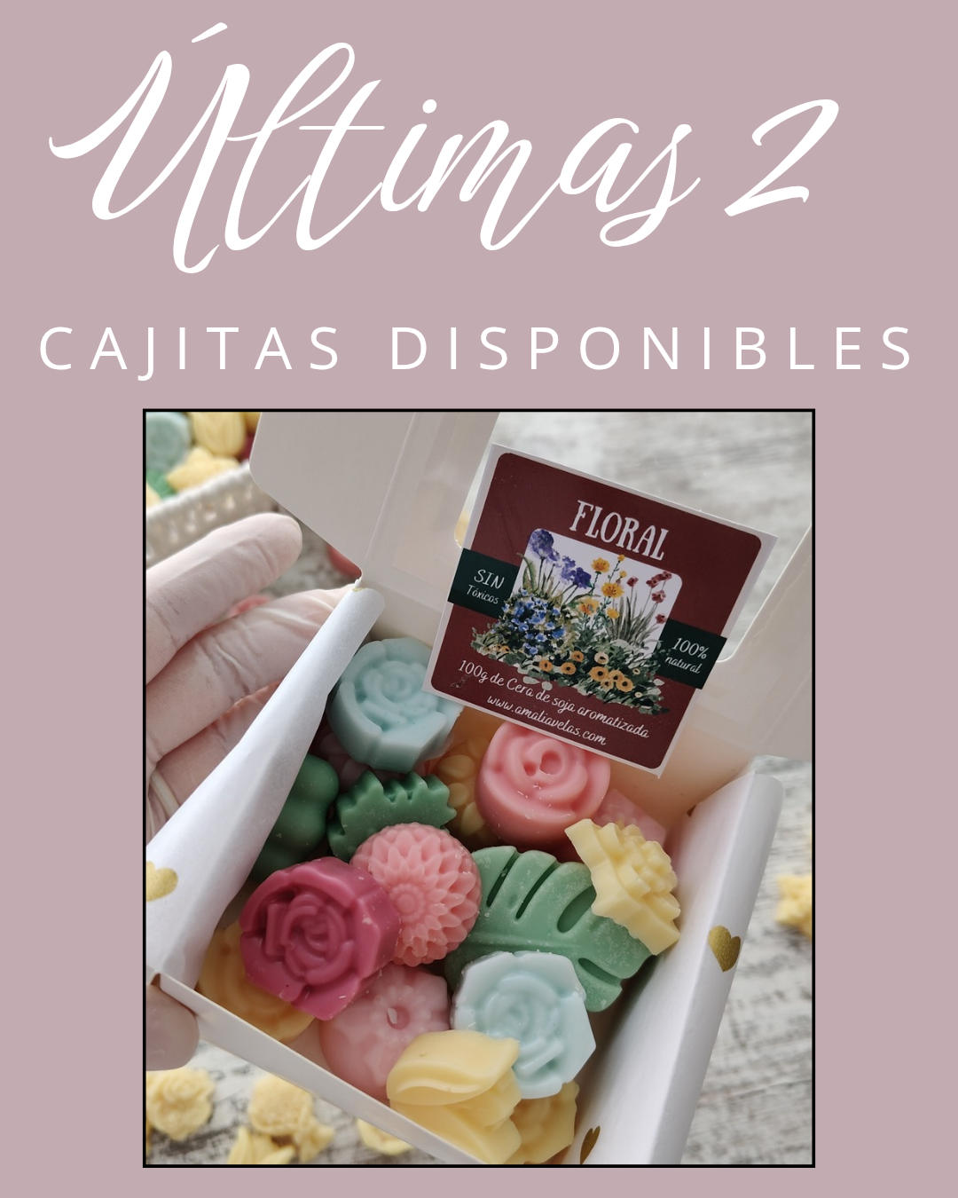 MIL FLORES - waxmelts