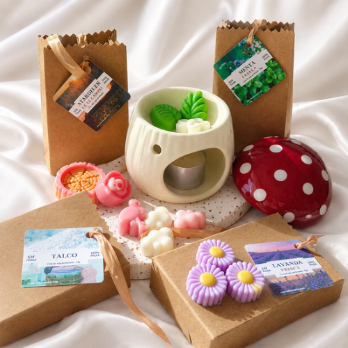Cajita waxmelts- Hogar Limpio