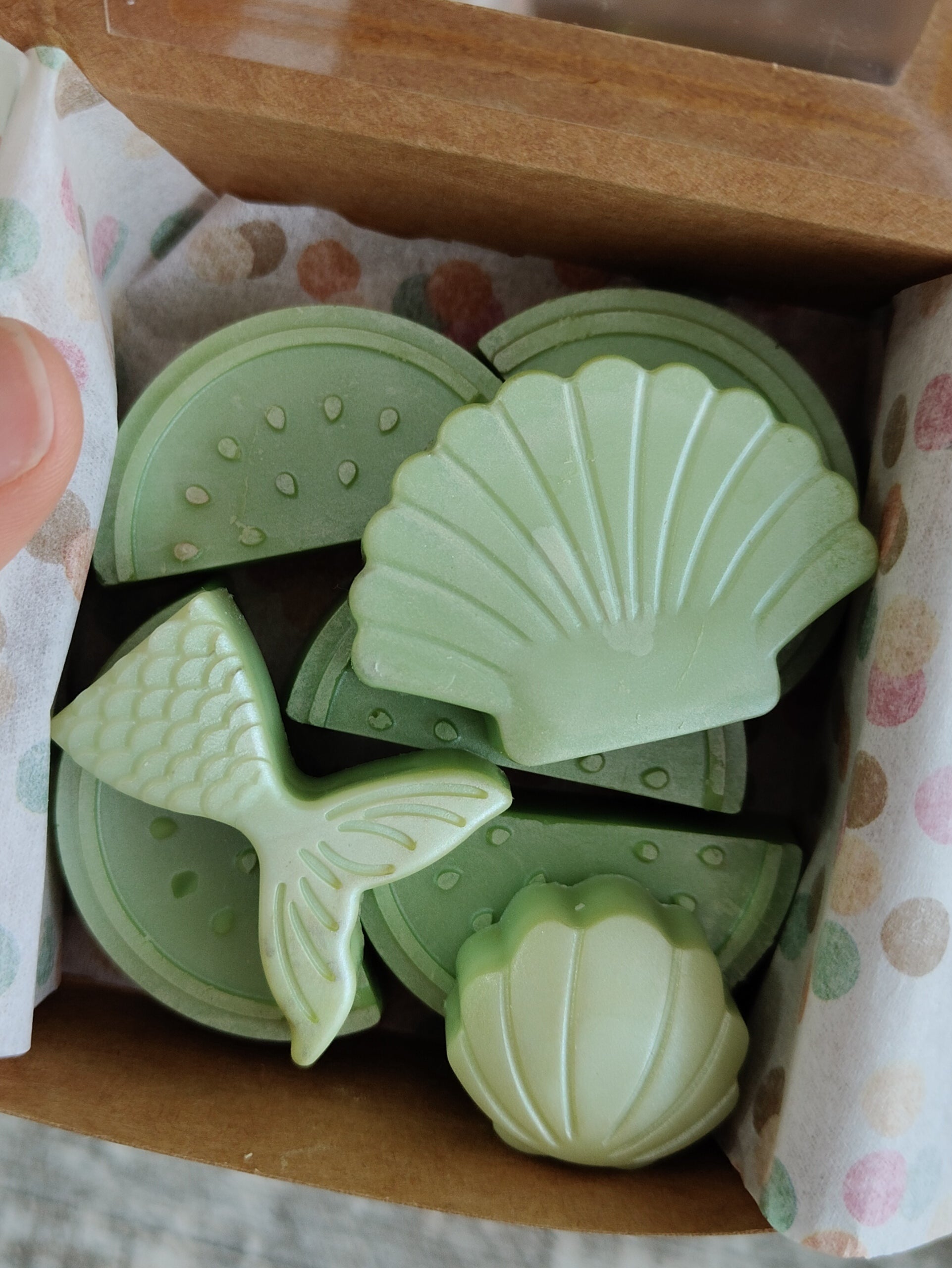 Melón de Galia (4u disponibles)