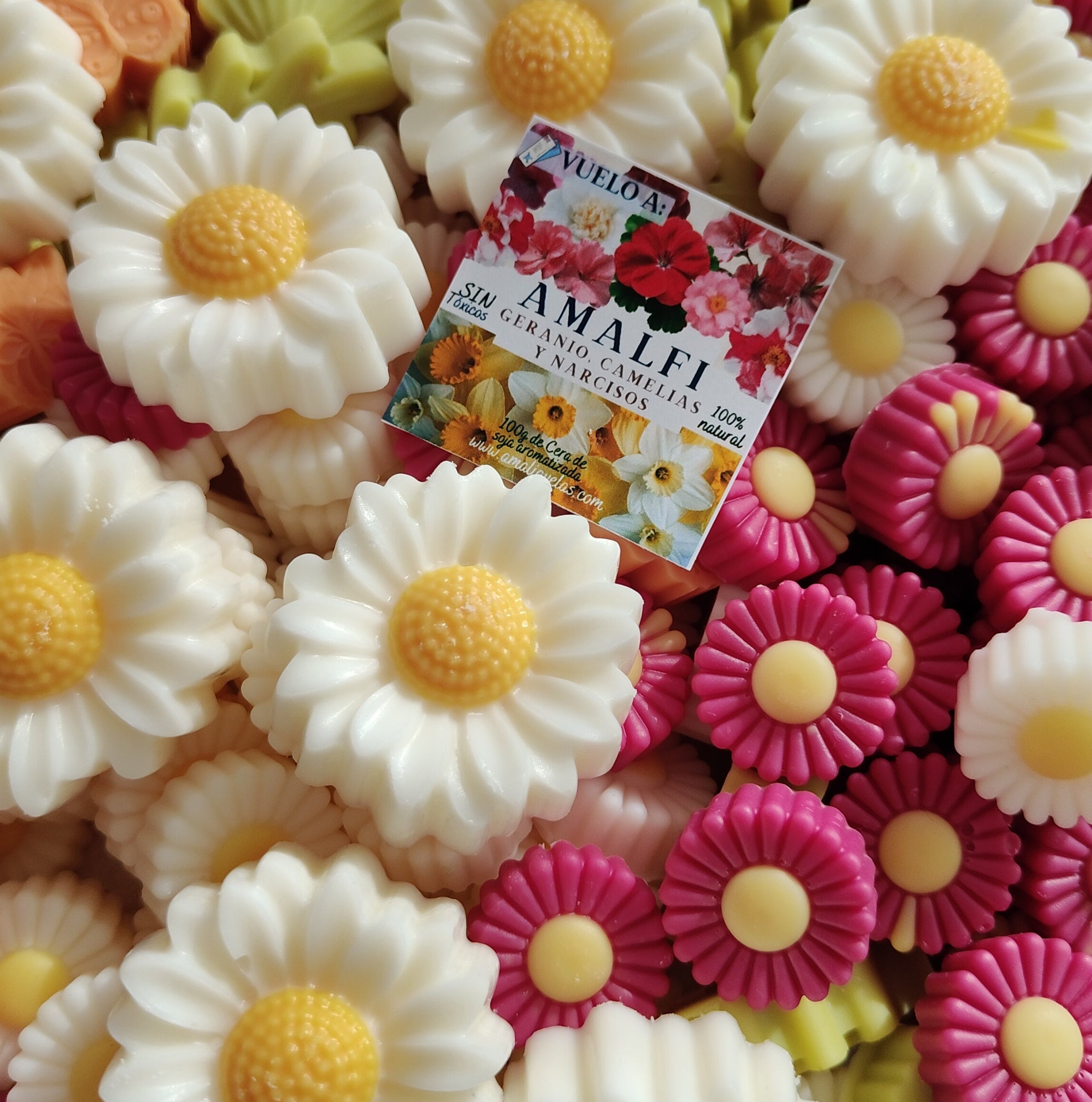 Wax melts - Amalfi Coast