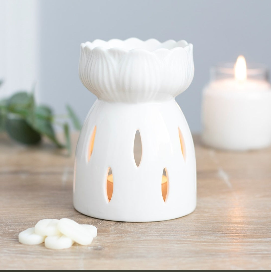 Quemador Tulipán blanco 🌷