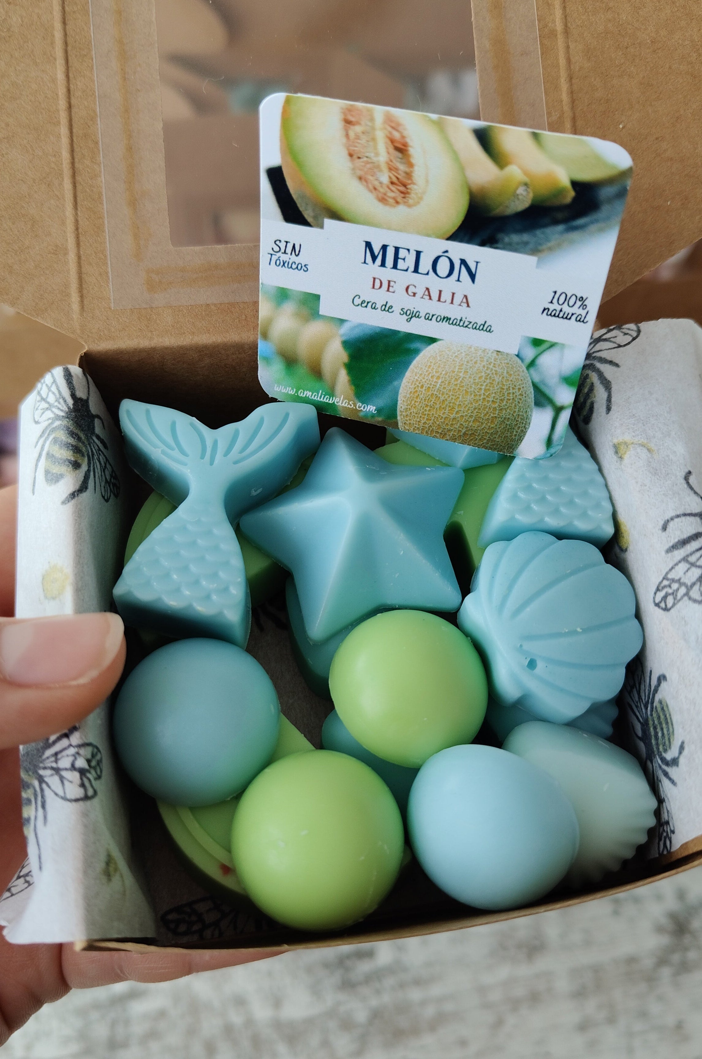 Melón de Galia (limitado)