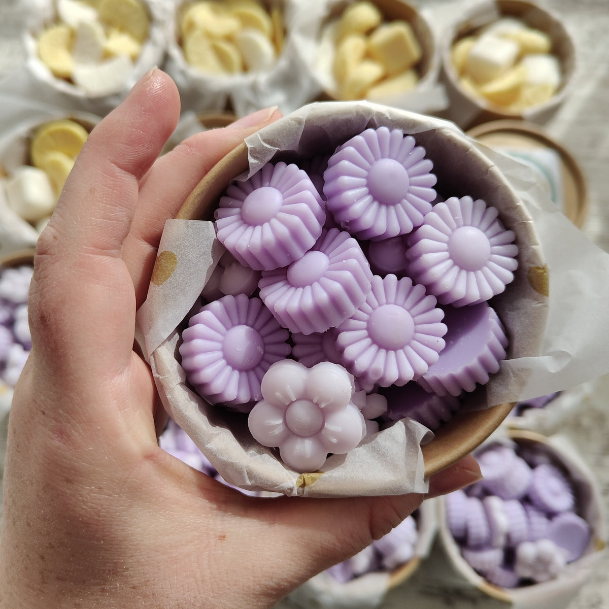 Lavanda