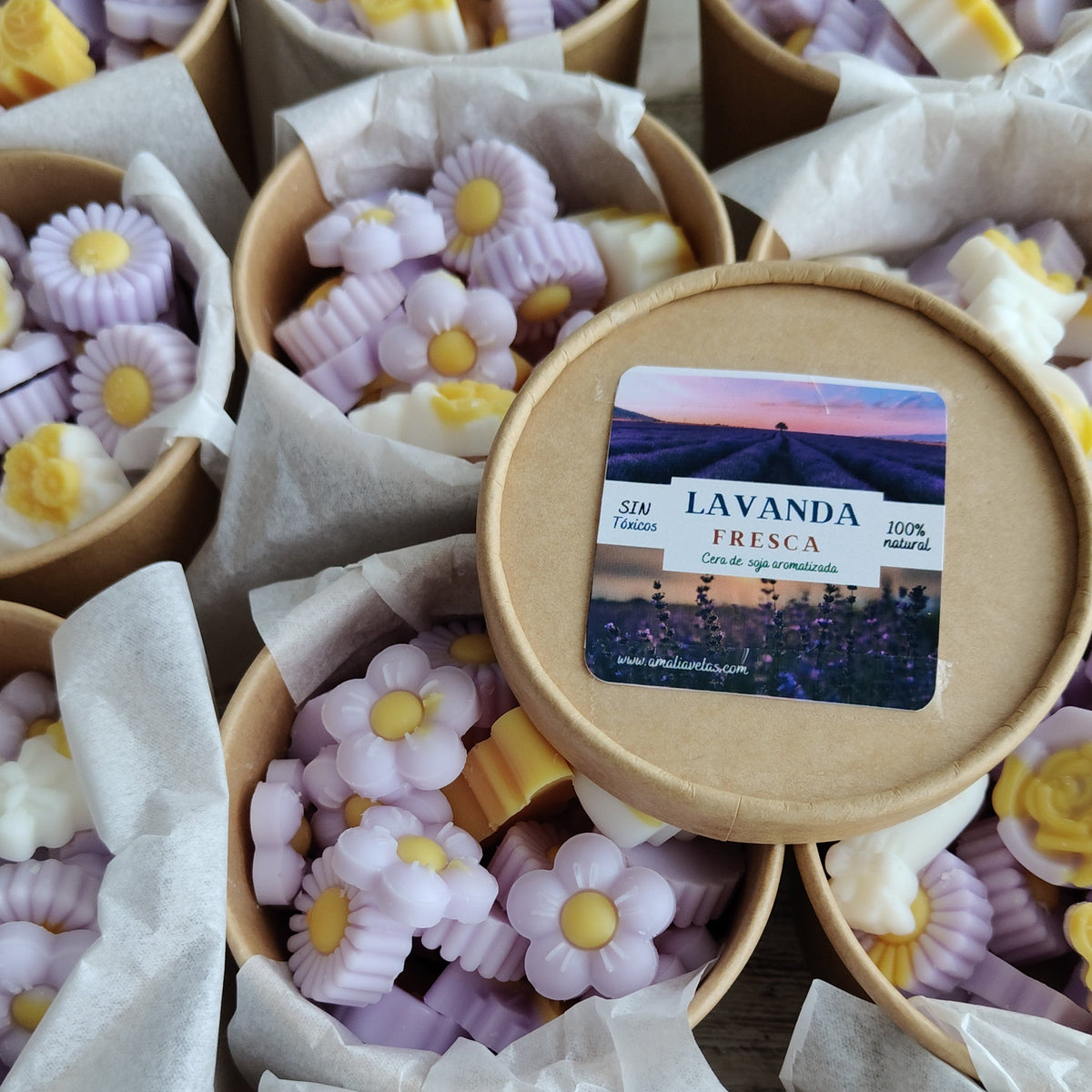 Lavanda