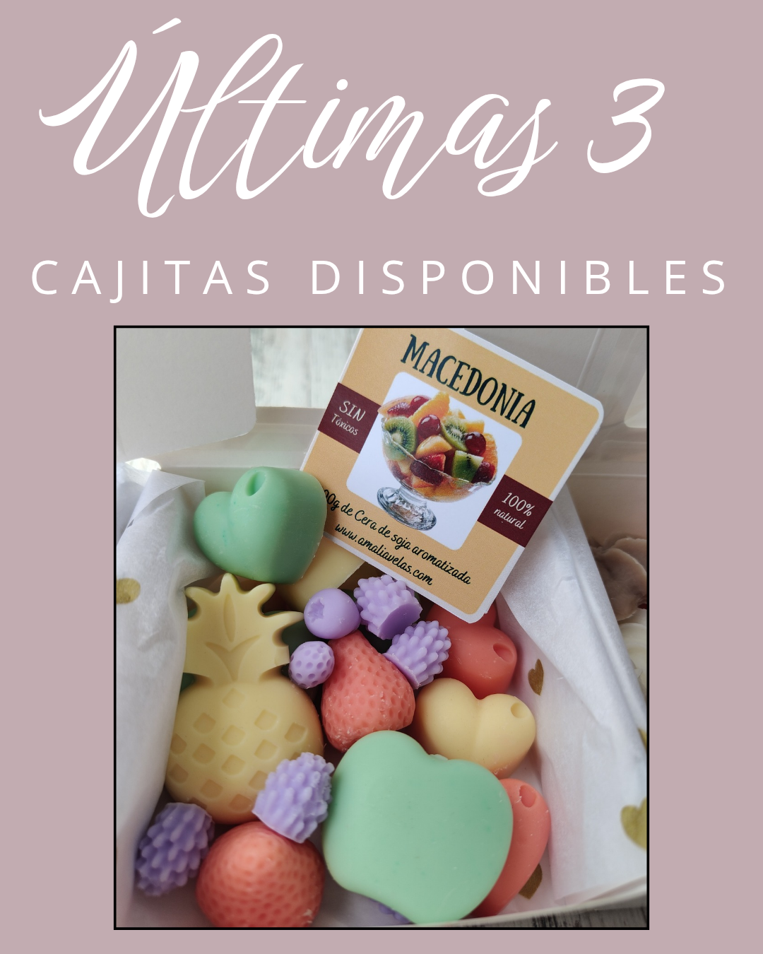 MACEDONIA EXÓTICA -Waxmelts