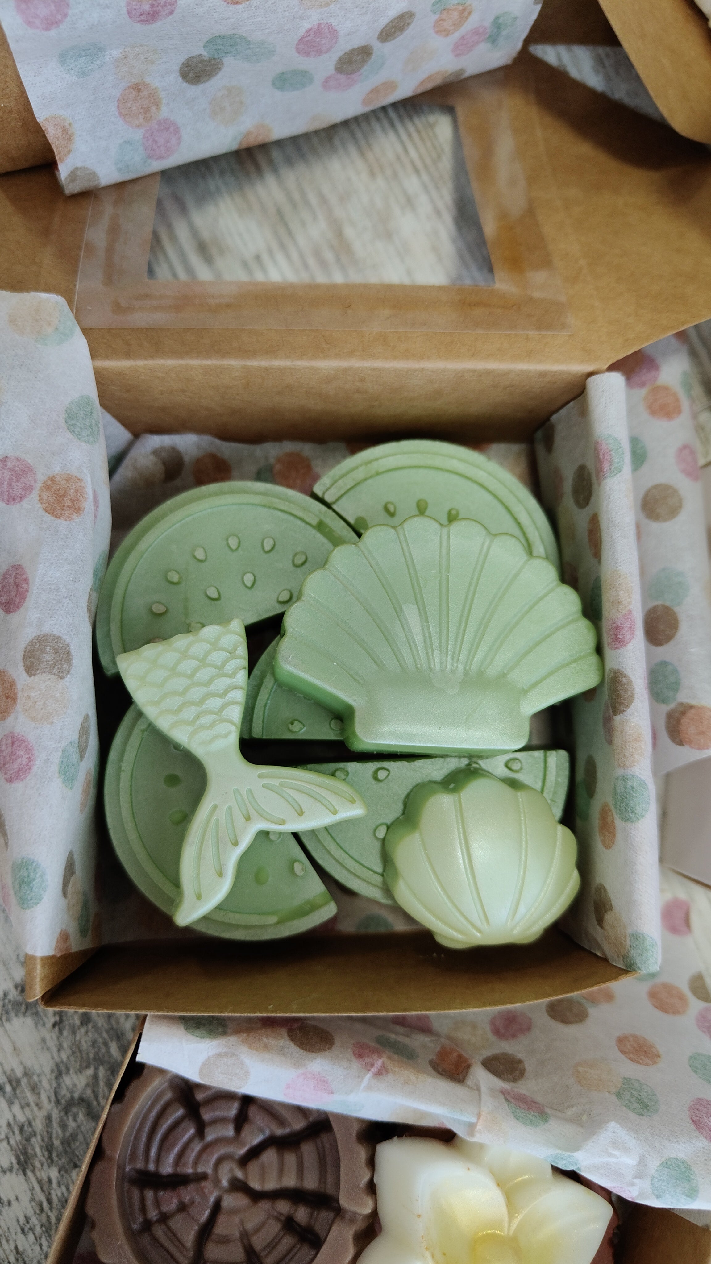 Melón de Galia (4u disponibles)