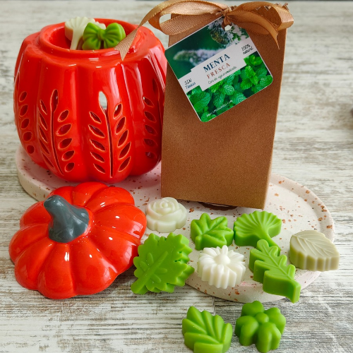 Cajita waxmelts- Hogar Limpio