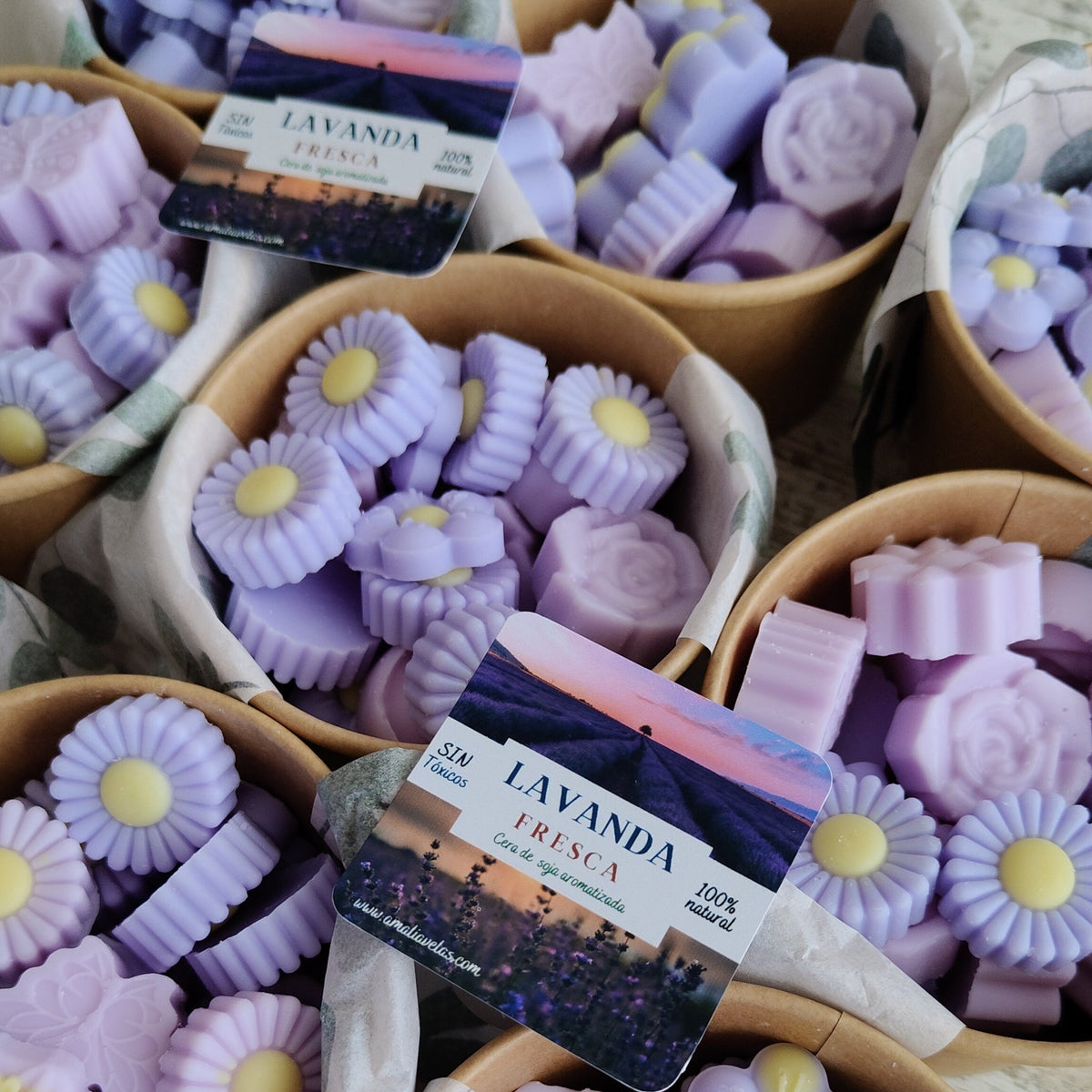 Lavanda