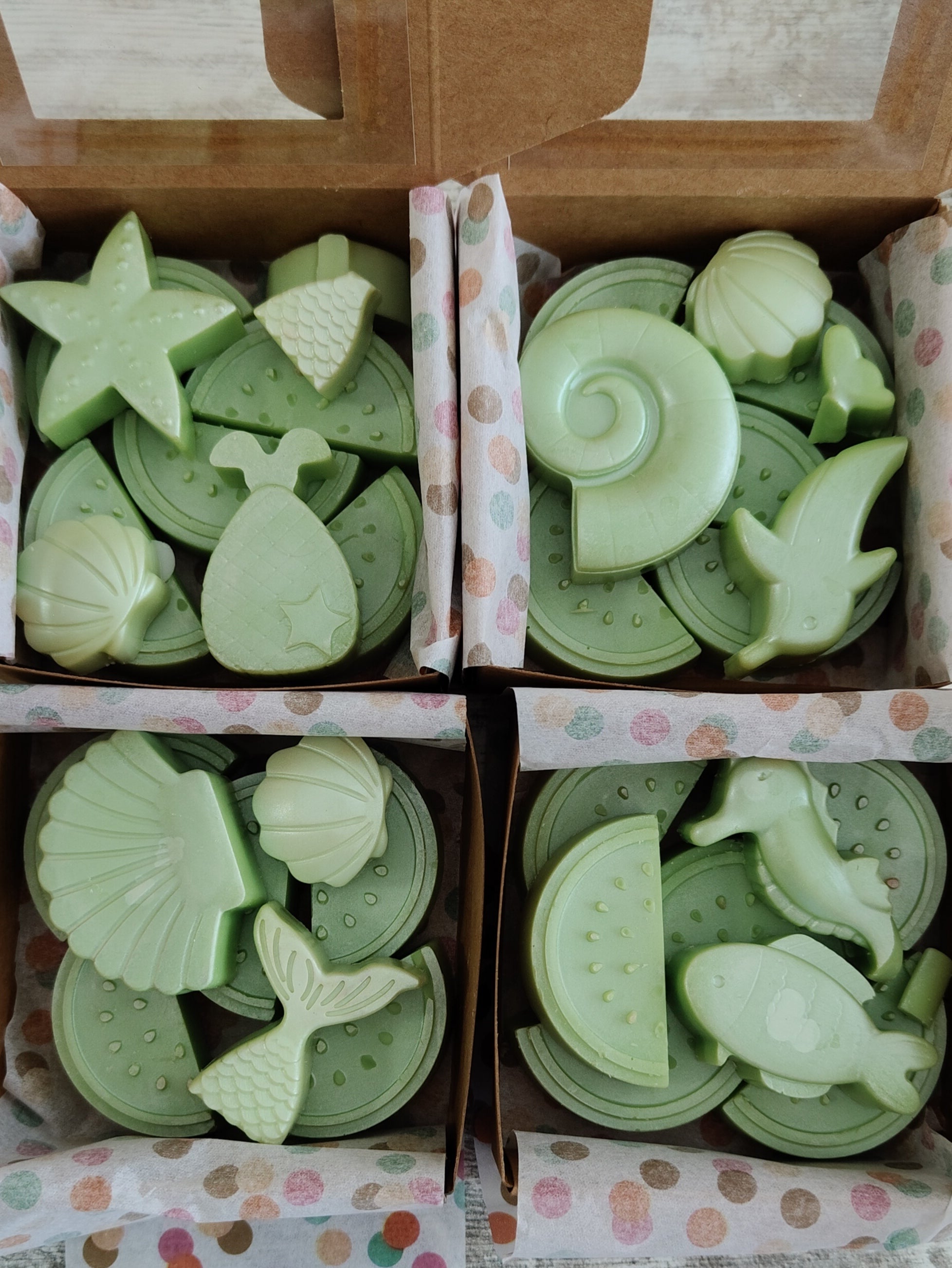 Melón de Galia (4u disponibles)