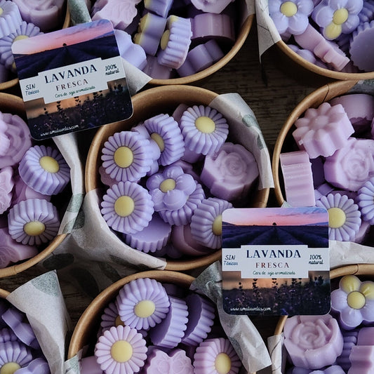 Lavanda
